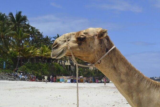 PRIVATE: MOMBASA FULL DAY TOUR and EXCURSUION - Akamba Handicraft: See Carvers at Work and Buy With Confidence