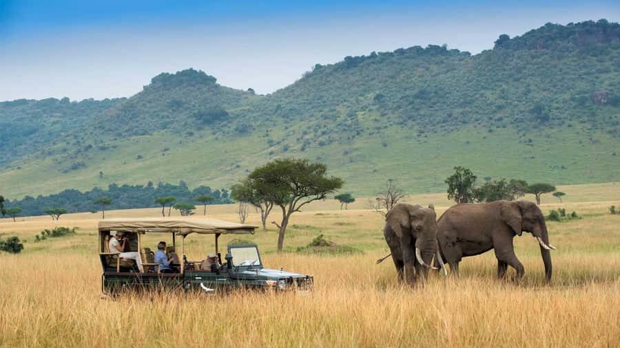 Private Safari Day-Tour in Amboseli National Park - The safari vehicle and comfort: pop-up roof is great, but plan for bumps