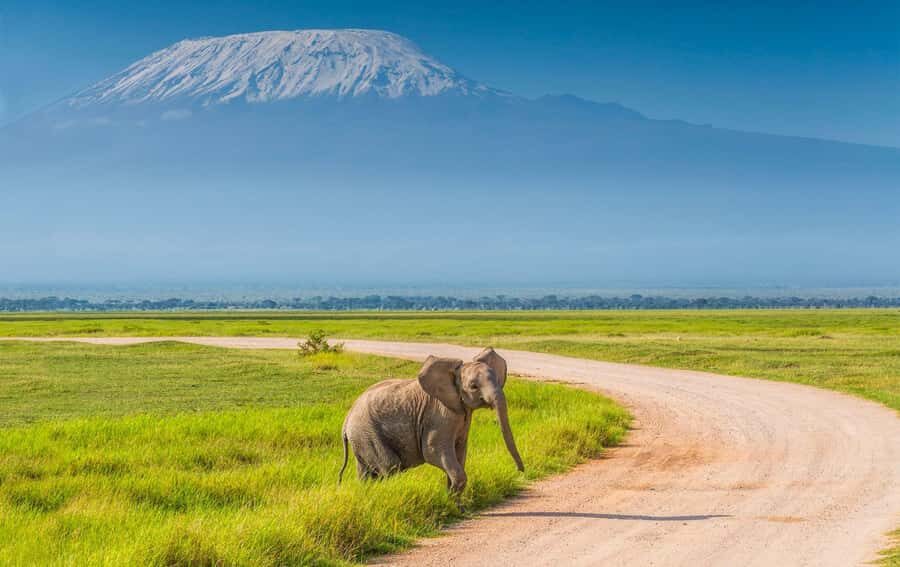 Private Tour to Amboseli National Park - Nairobi to Amboseli: The 11-Hour Rhythm That Helps You See More