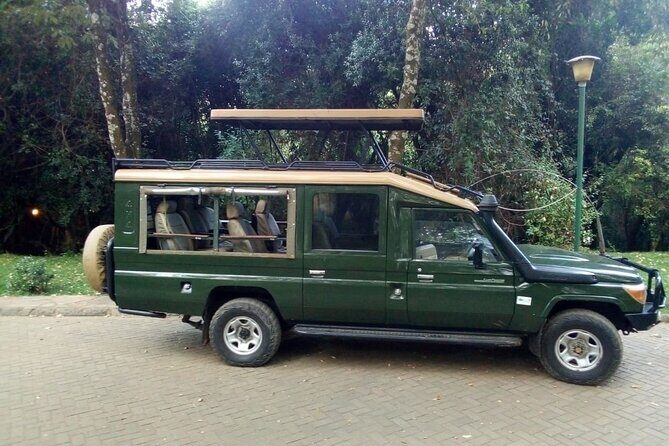 Private Transfer from Nairobi Airport or city To Maasai Mara By Road - The Great Rift Valley photo stop: quick break, good payoff