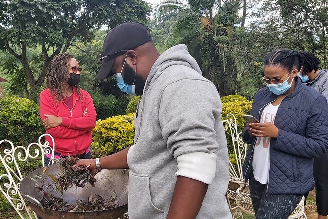 Purple Tea Farm Tour from Nairobi City - Specialty Tea Tasting - Buying tea leaves: how the factory mill moment works