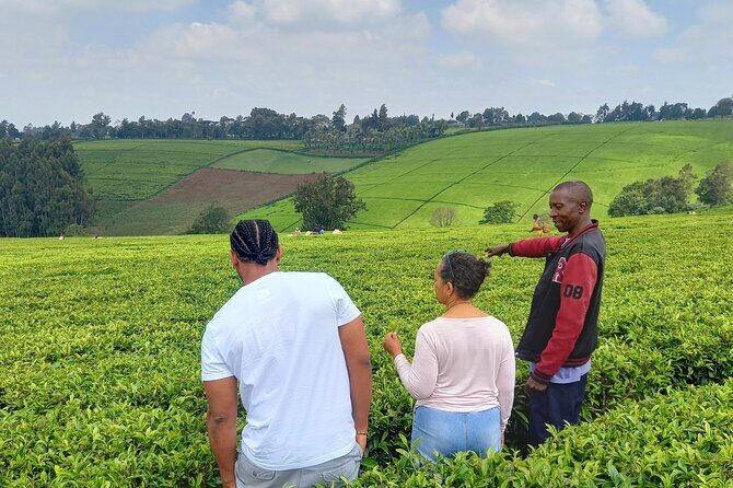 Riara tea farm tour with lunch and tea tasting from Nairobi - Key highlights you’ll care about