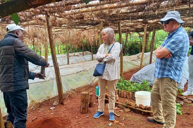 Riara tea farm tour with lunch and tea tasting from Nairobi - Limuru: where the tea farm tour becomes the main event
