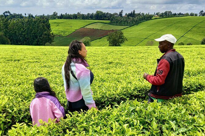 Riara tea farm tour with lunch and tea tasting from Nairobi - The guide experience: why Eric (and Grace) matter
