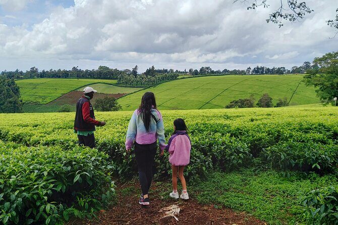 Riara tea farm tour with lunch and tea tasting from Nairobi - What you’ll see in Nairobi on the way (and why it’s included)