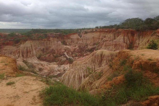 ROBINSON ISLAND/MARAFA HELL's KITCHEN - Malindi market shopping: what to buy and how to approach it