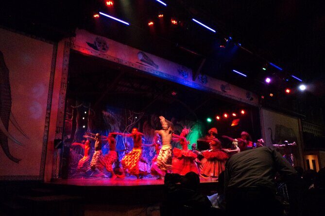 Safari Cat Dancers Show And Dinner - Door-to-Door Nairobi Pickup: Less Waiting, More Evening