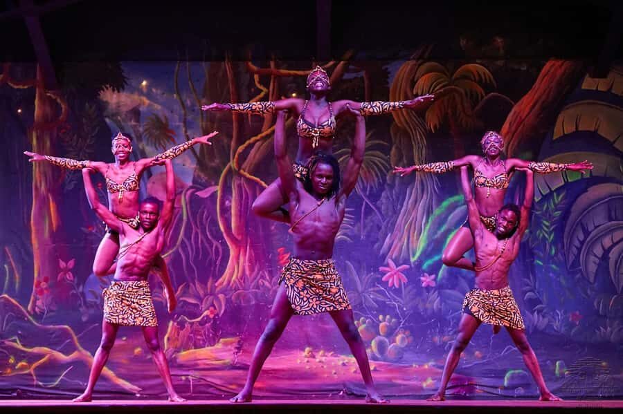 Safari Park Hotel Show & Dinner Experience In Nairobi Tour - Hotel Pickup to Nyama Choma Ranch: A Simple Night Plan