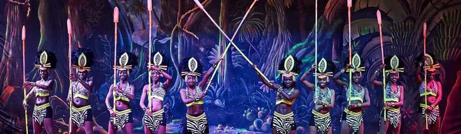 Safari Park Hotel Show & Dinner Experience In Nairobi Tour - Cultural Comedy, Theatre, or Workout? Know What Type of Night It Is