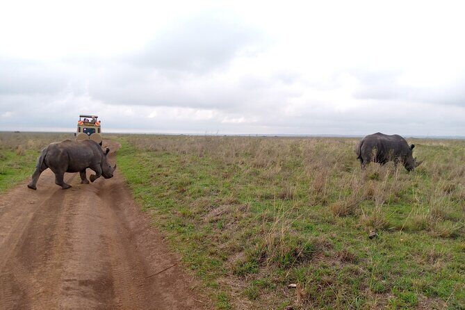 Safari Tour; Nairobi National Park - The guide factor: spotting talent like Joseph, Edwin, David, and Lawrence