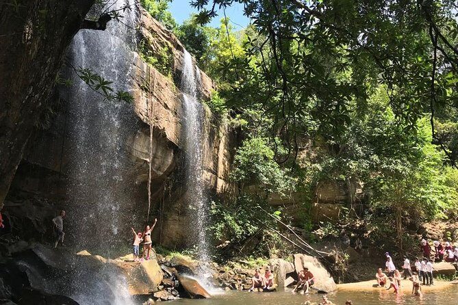 Shimba Hills Excursion - Shimba Lodge: Solid-Wood Tree Lodge Views Over the Waterhole