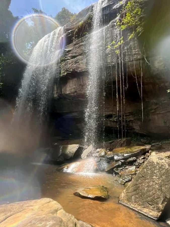 Shimba Hills: Game Drive, Waterfall Hike, and Lunch - Key things to know before you go