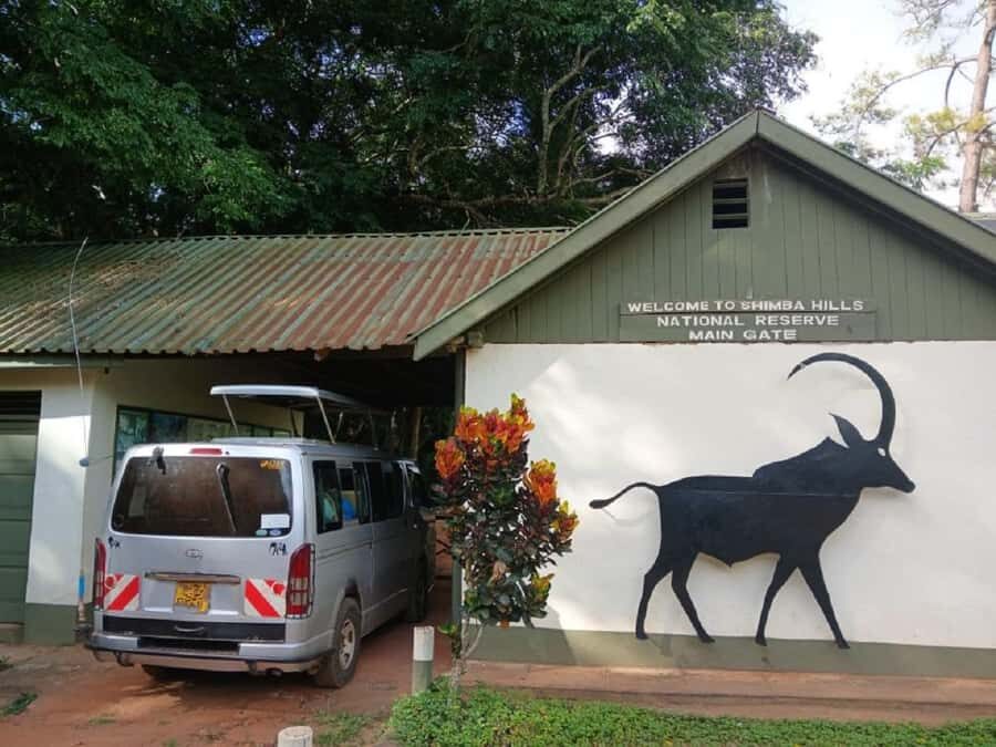 Shimba Hills: Game Drive, Waterfall Hike, and Lunch - Shimba Hills in one day: what you really get for $217