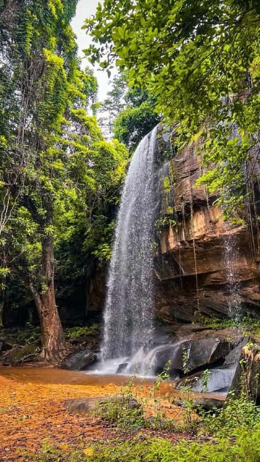 Shimba Hills: Game Drive, Waterfall Hike, and Lunch - Safari time: how the Shimba Hills game drive feels in practice
