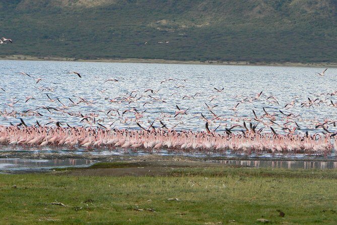 The Great Rift Valley Tour - L Bogoria, L Nakuru, L Naivasha and Hellsgate NP - Hellsgate National Park: Cycling Day and Big Activity Energy