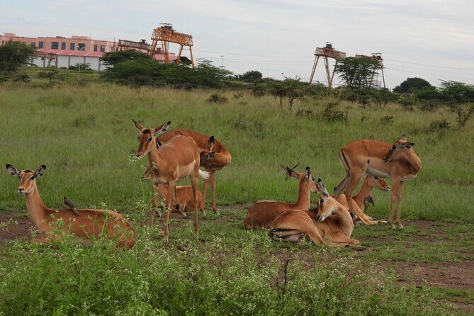Tour Safari; Nairobi National Park - Stop Two: Kazuri Beads (Kobe Beads) Factory for Local Craft Learning