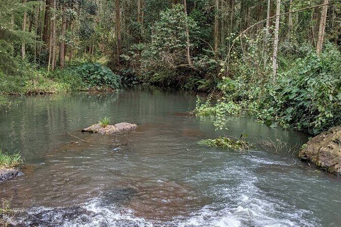 Trip from Nairobi to Muranga with Waterfall Hike and Picnic - Waterfall Time and the Natural Pool Swim: the main payoff