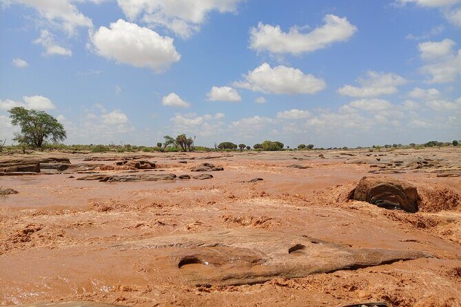 Tsavo East and Ngutuni Sanctuary Safari 3 days from Mombasa - Price and What You’re Really Getting for $1,370