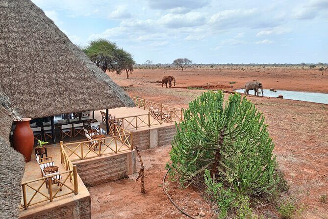 Tsavo East and Ngutuni Sanctuary Safari 3 days from Mombasa - Who This Safari Suits Best (And Who Might Want Another Plan)
