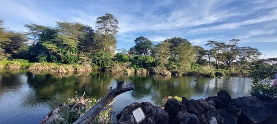 Tsavo East and Tsavo West Sanctuary Safari - Day 1: Tsavo East National Park game drive plus Ngutuni Lodge waterhole time