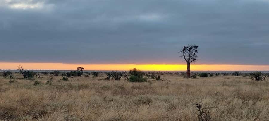 Tsavo East and Tsavo West Sanctuary Safari - Meals and what full board actually buys you