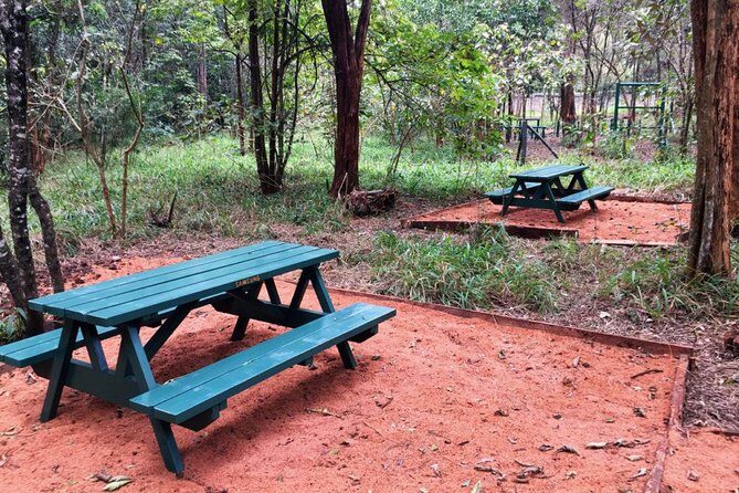 Urban Forest Tour in Nairobi - Bird and wildlife spotting: what you’re actually aiming for