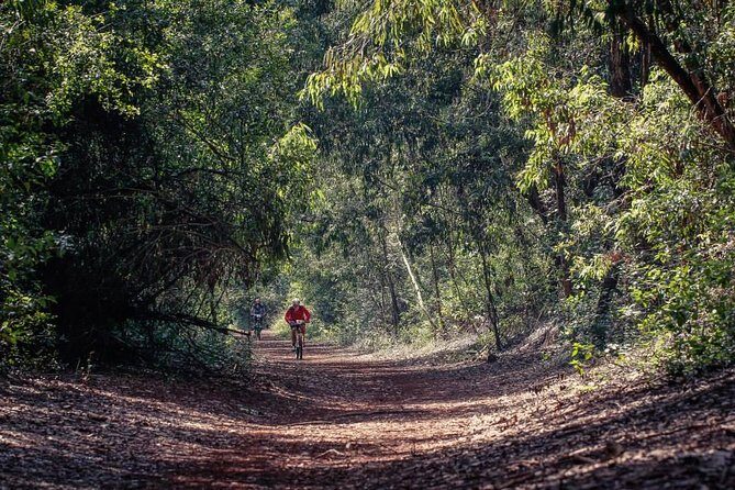 Urban Forest Tour in Nairobi - Your 3-hour half-day plan inside the forest
