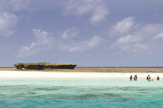 Wasini Dolphin Snorkeling - Kisite Mpunguti Marine Park snorkeling: your underwater window