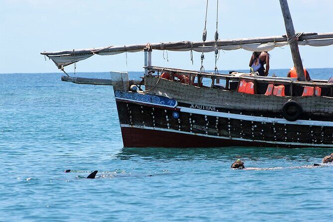 Wasini Dolphin Snorkeling - What to bring (and what to double-check)