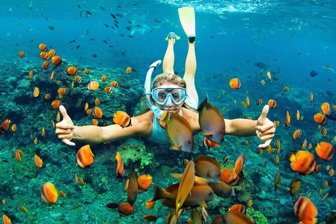 Wasini Dolphin Snorkeling - Boat Time for Dolphin Spotting: how to make the most of it