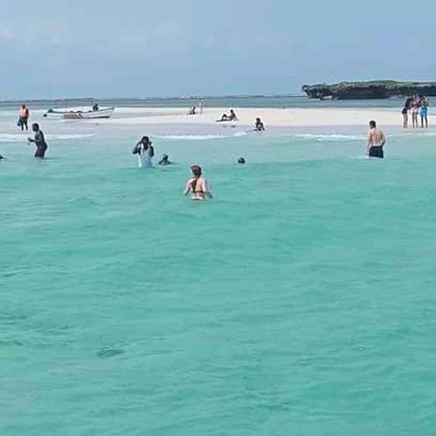 Wasini island: Marine Park, Dolphin Watch & Village Tour - Wasini Island village walk: cultural time with a sensitive edge