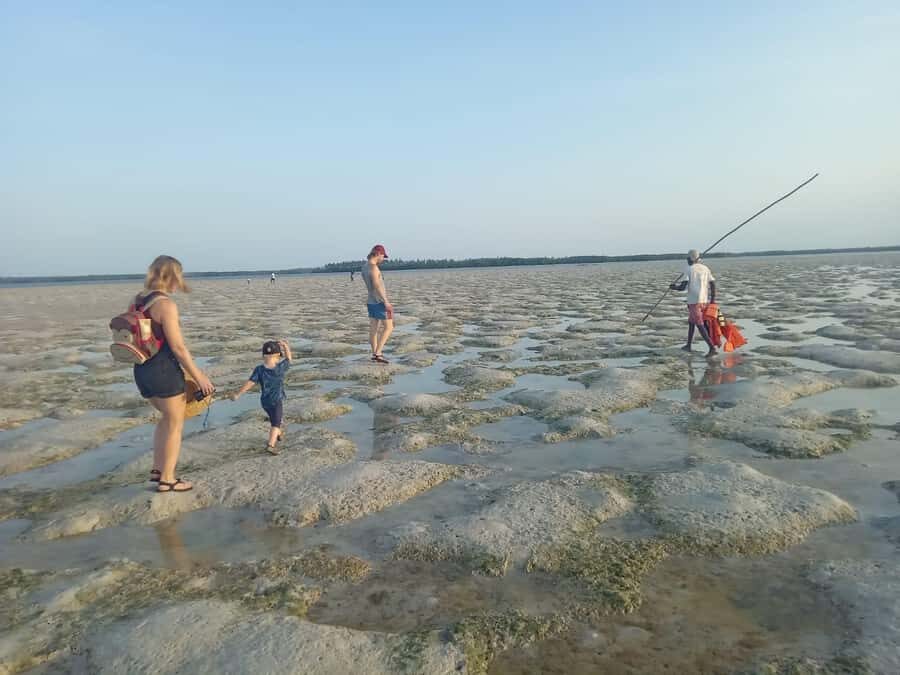 Watamu: Sunset Mangrove Canoe Tour with Coconut Drink - Boardwalk maintenance in Feb 2026: plan for changes