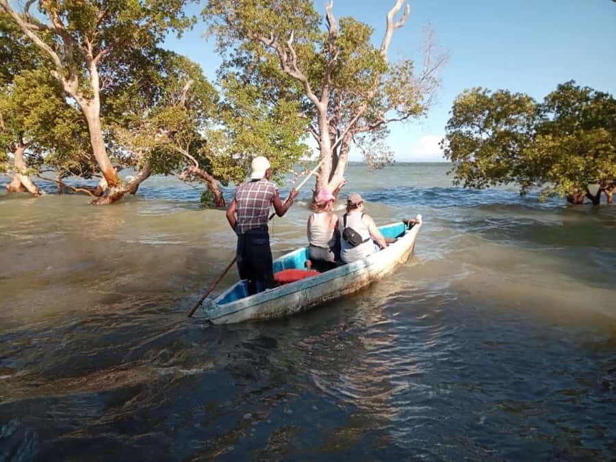 Watamu: Sunset Mangrove Canoe Tour with Coconut Drink - Entering the mangroves: what happens on foot first